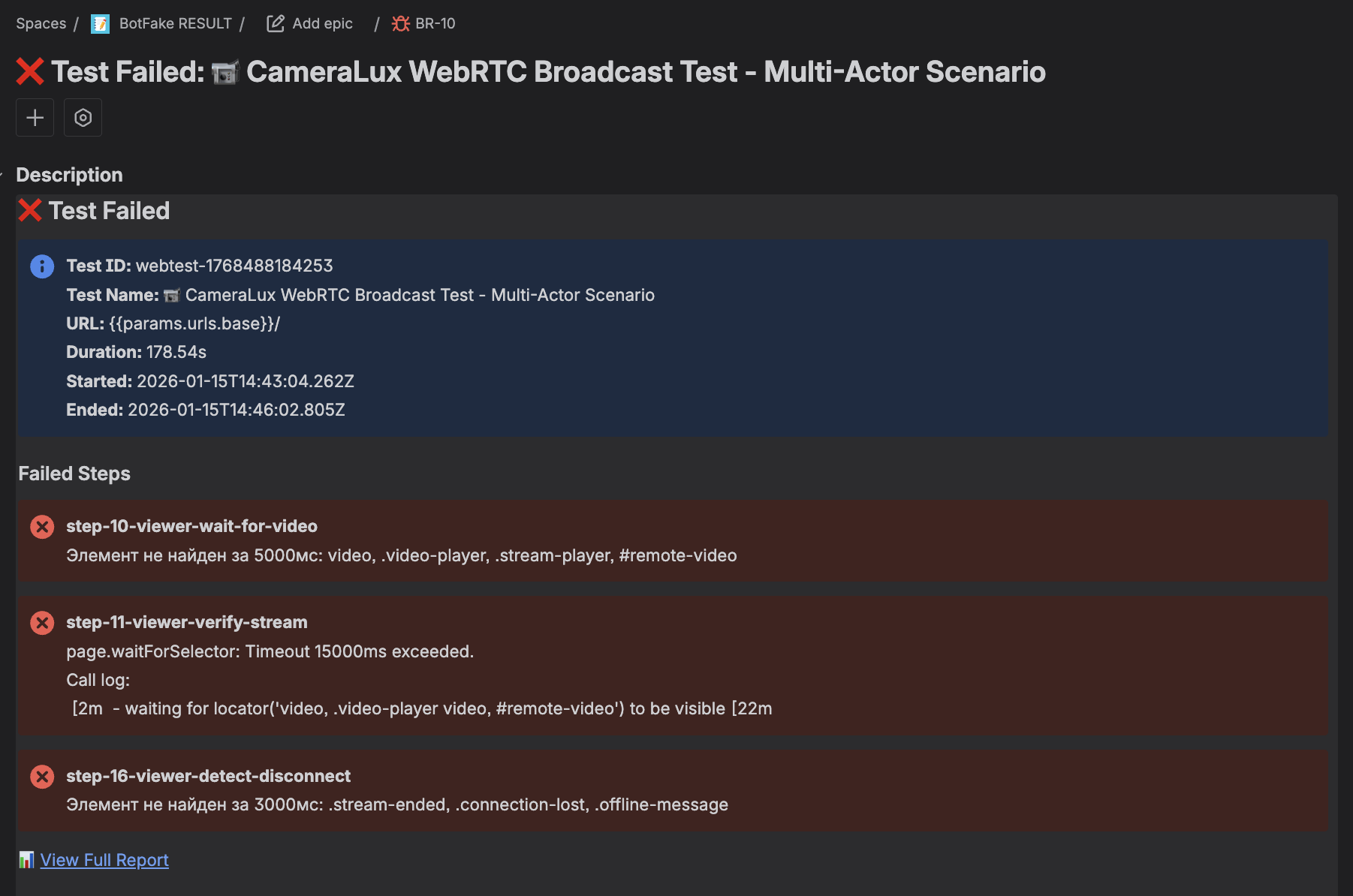 Jira Bug Report Detail
